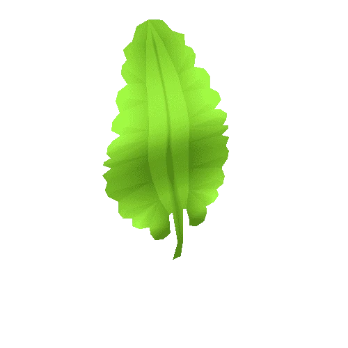 Leaf_01_02