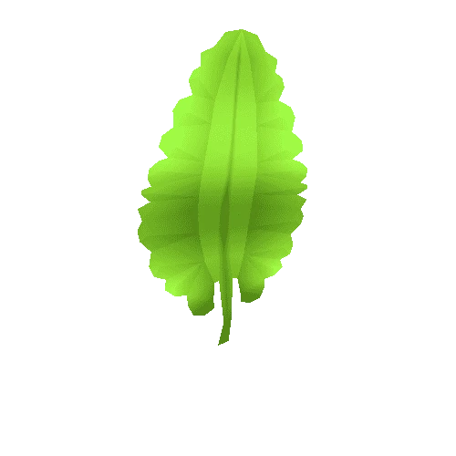 Leaf_01_03