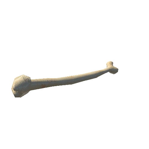 bone_1