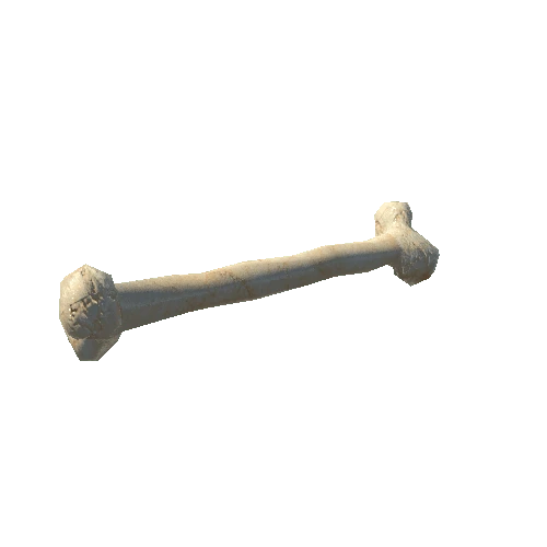 bone_2