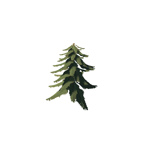 Pine002_02