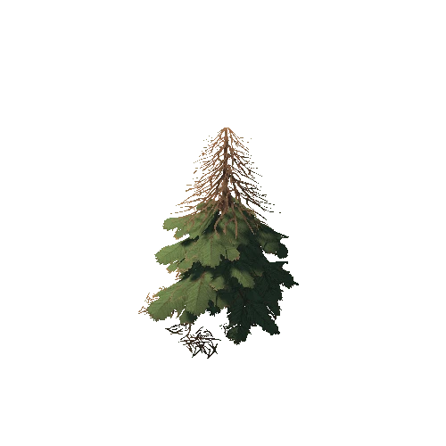 Pine002_05