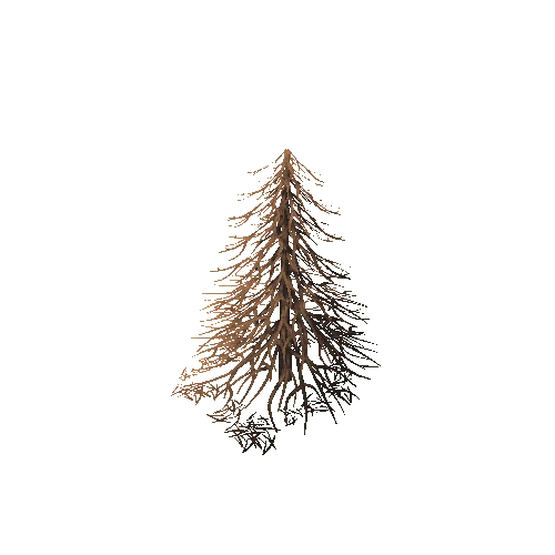 Pine002_07