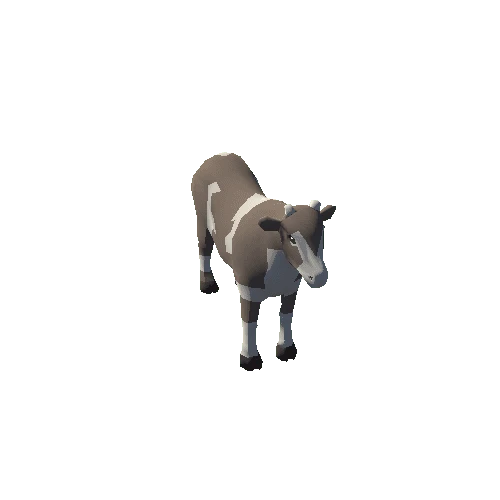 cow1