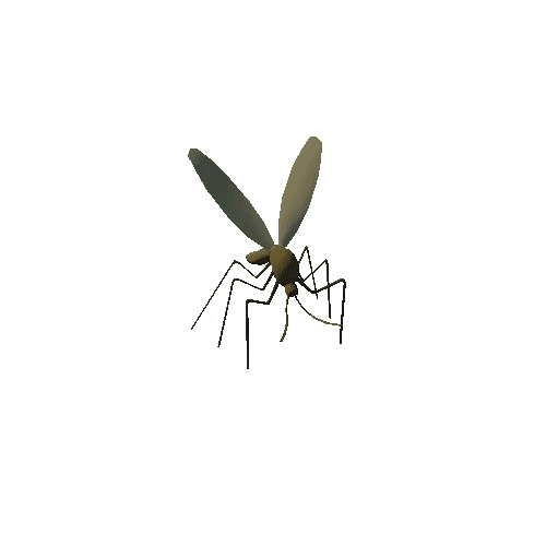 giant_mosquito