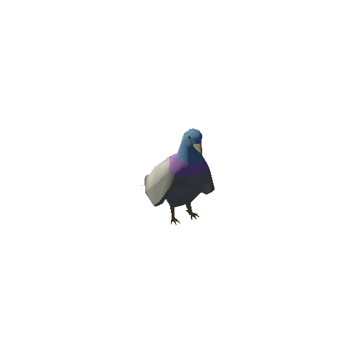 pigeon_v1