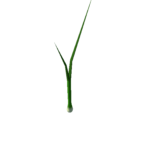 springOnion