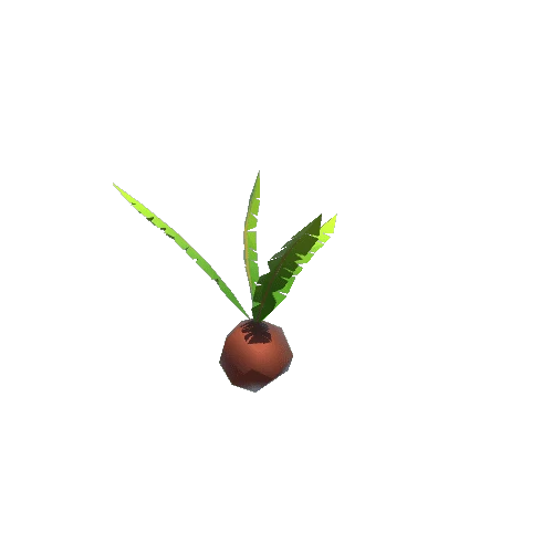 Coconut_Plant