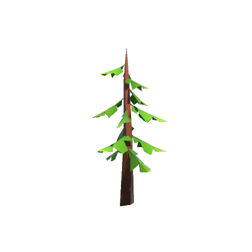 Conifer1_Distant