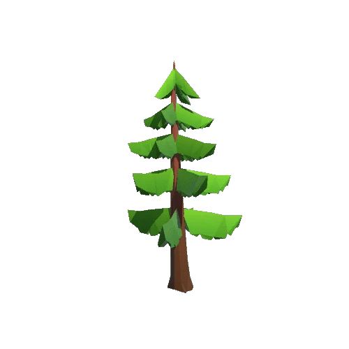 Conifer2_Distant