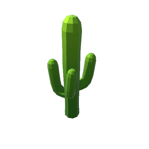 SaguaroCactus1