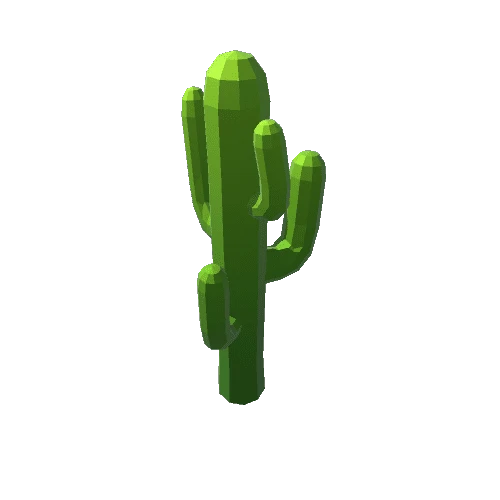 SaguaroCactus2