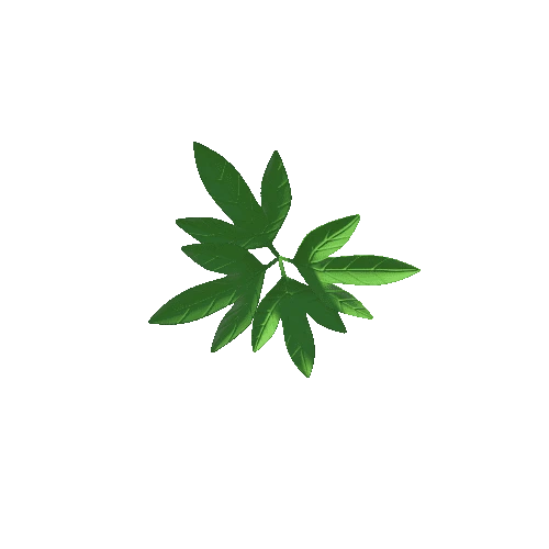 6_Weed