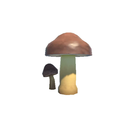 Mushroom01B