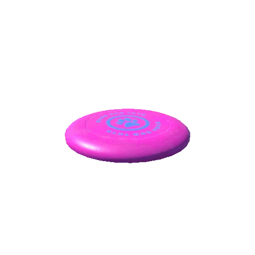 Frisbee_02