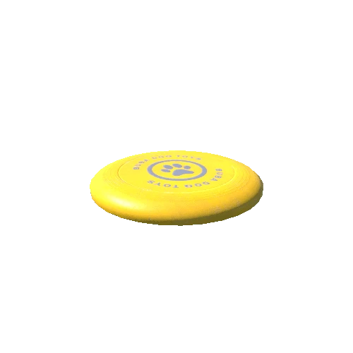 Frisbee_03