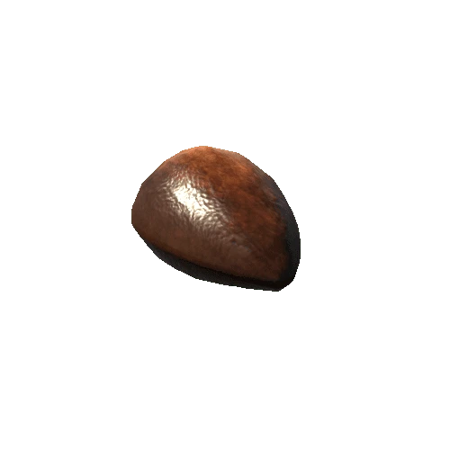 Avocado_Seed