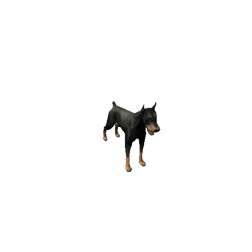 Doberman