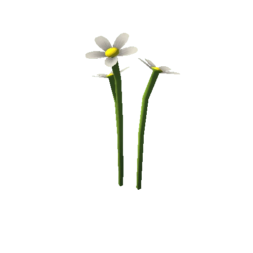 Flower_A_2_White