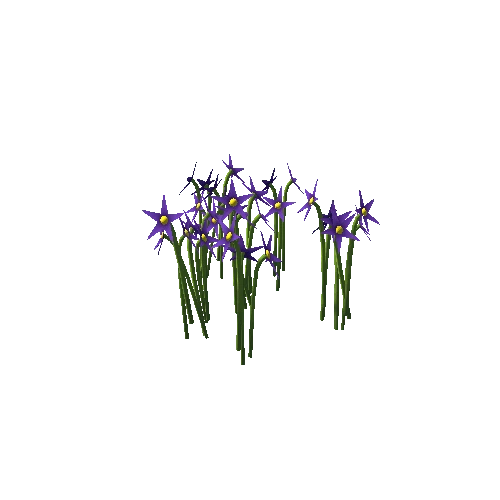 Flower_B_Purple_GRP