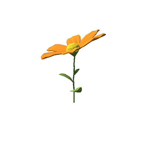 PP_Daisy_Flower_Orange_02