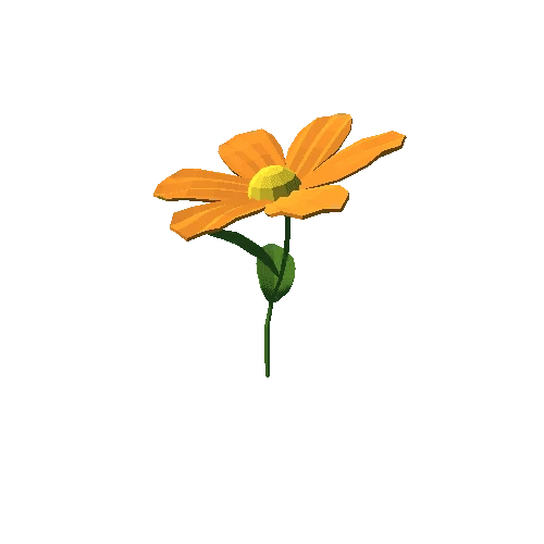 PP_Daisy_Flower_Orange_03