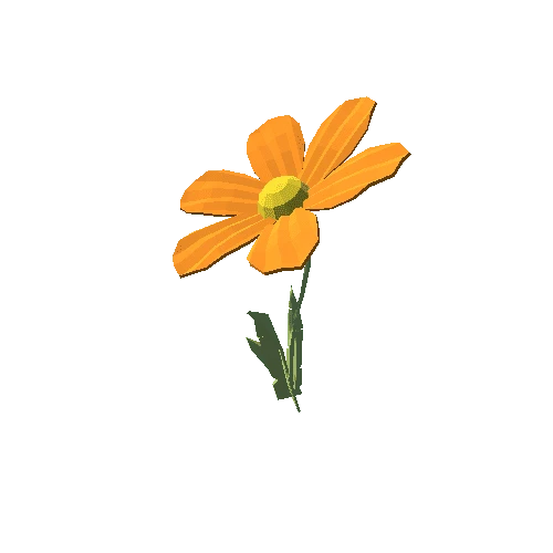 PP_Daisy_Flower_Orange_06