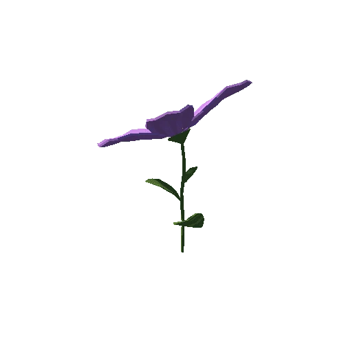 PP_Daisy_Flower_Purple_02