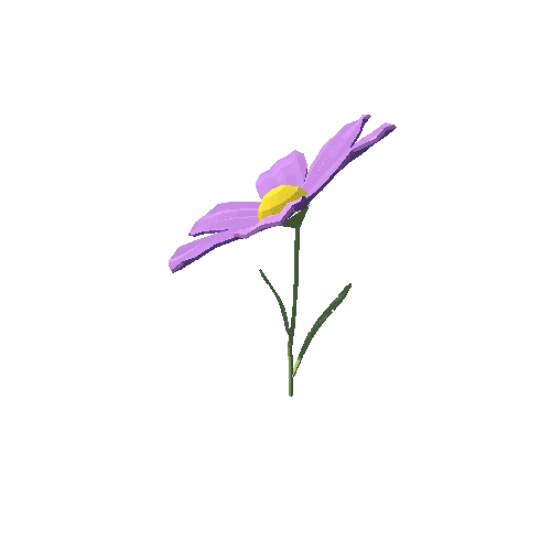 PP_Daisy_Flower_Purple_04