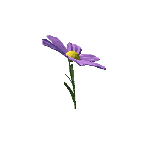 PP_Daisy_Flower_Purple_05