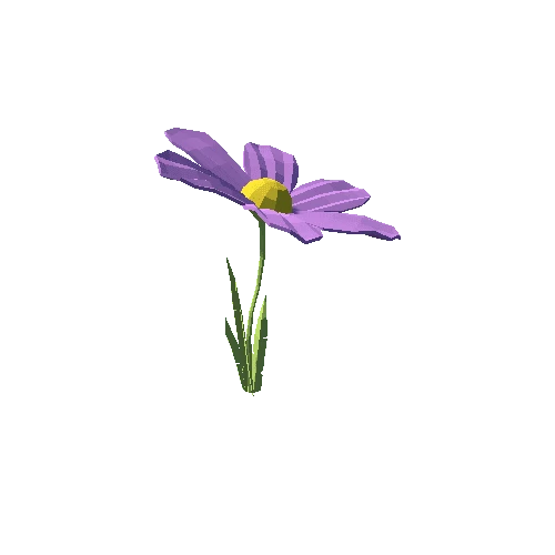 PP_Daisy_Flower_Purple_06