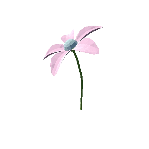 PP_Flower_Pink_04