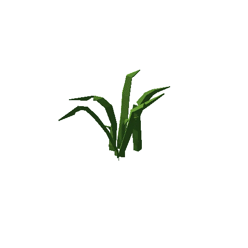 PP_Grass_10