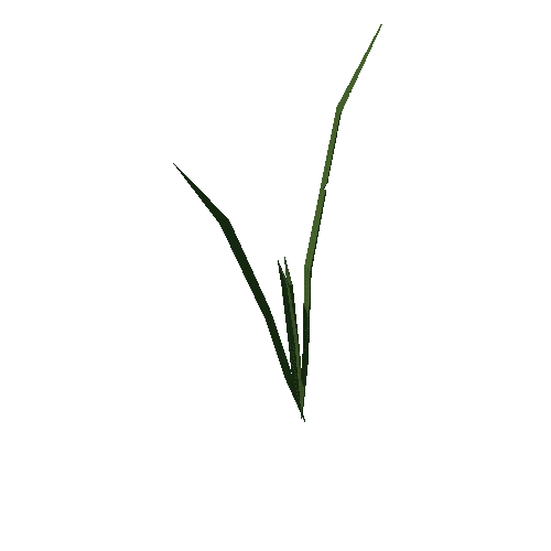 PP_Grass_12