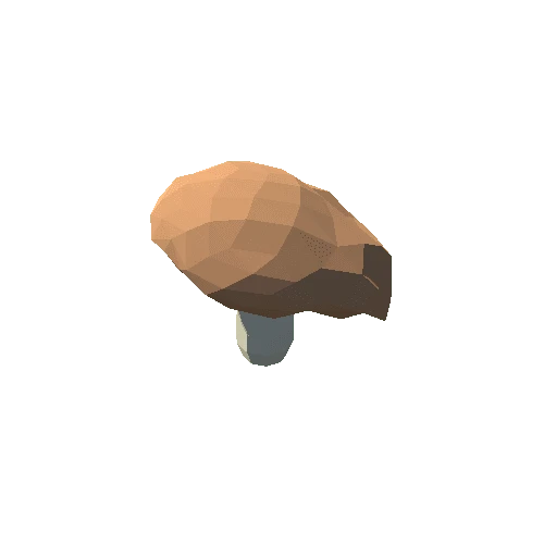 PP_Mushroom_02