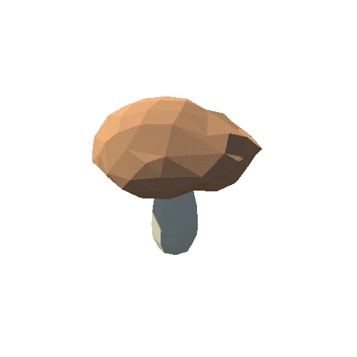 PP_Mushroom_04