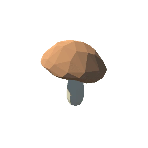 PP_Mushroom_05