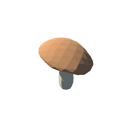 PP_Mushroom_06