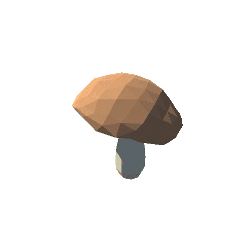 PP_Mushroom_07