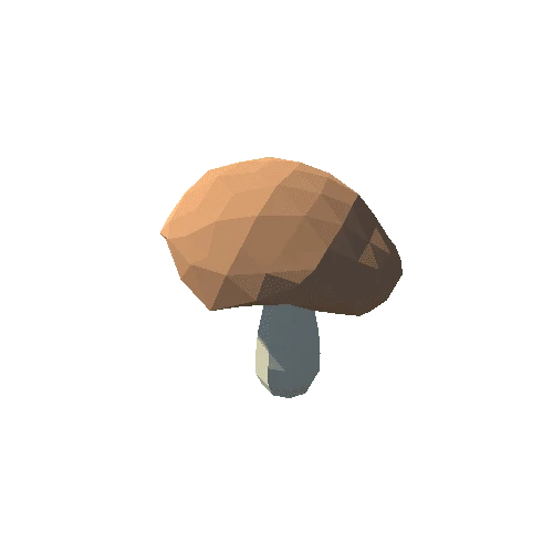 PP_Mushroom_08