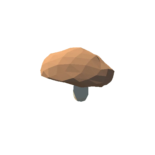 PP_Mushroom_09