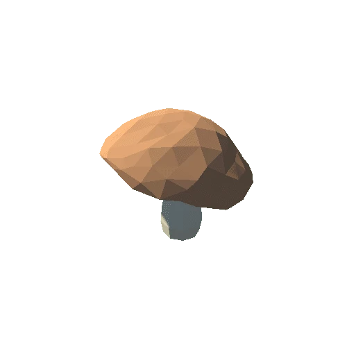 PP_Mushroom_10