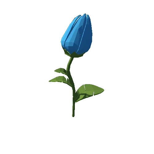 PP_Tulip_Blue_03