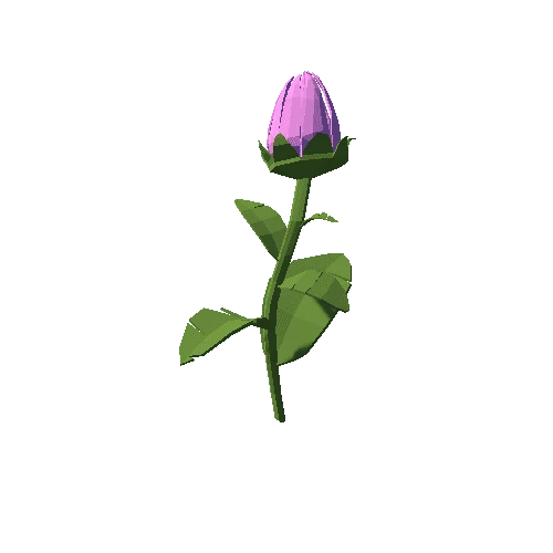 PP_Tulip_Pink_02