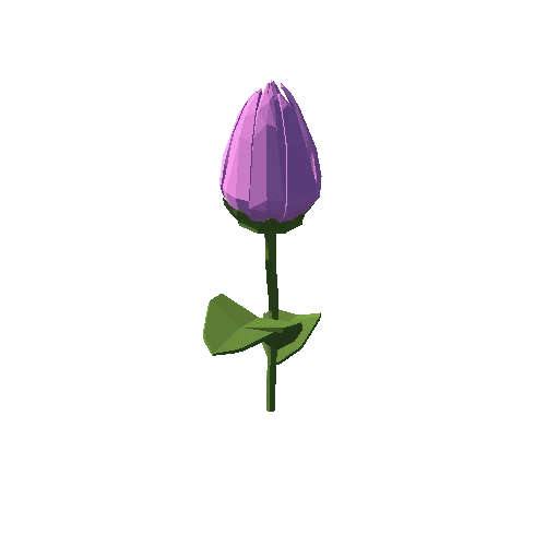 PP_Tulip_Pink_03