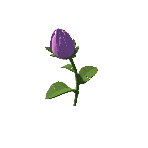 PP_Tulip_Pink_05