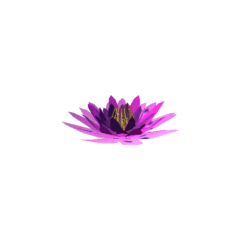 PP_Water_Lily_01