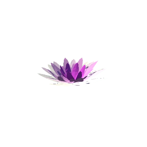 PP_Water_Lily_03