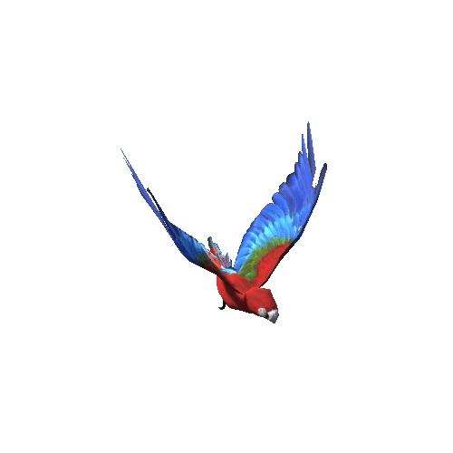 ScarletMacaw