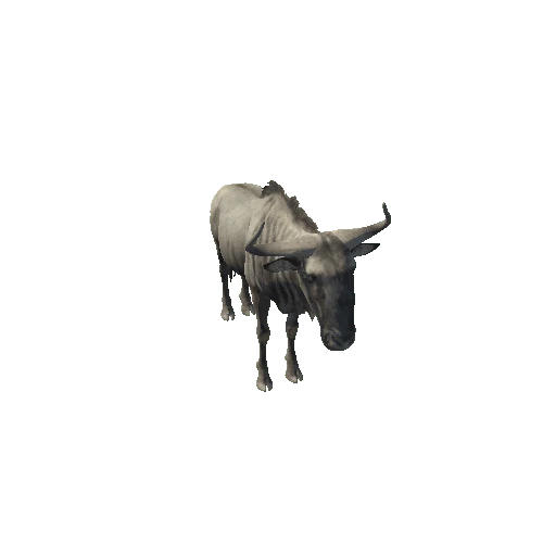 BlueWildebeest_M_Prefab